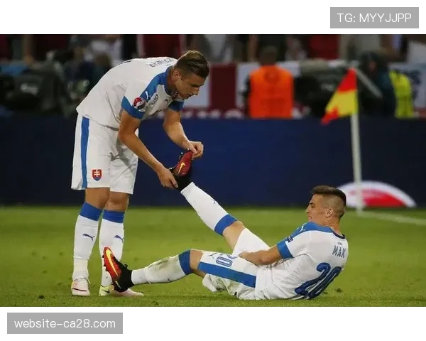 爱尔兰主打4-3-3阵型,主场防守韧性成关键 爱尔兰主打4-3-3阵型,主场防守韧性成关键