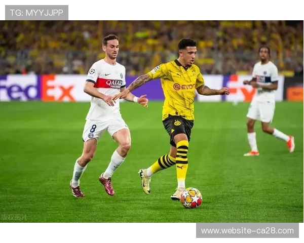 奥格斯堡前锋贝尔纳多伤愈,周末联赛复出